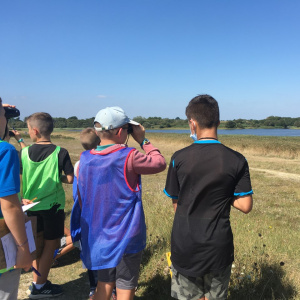 Observation des oiseaux