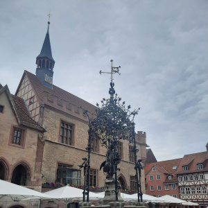 Göttingen 7