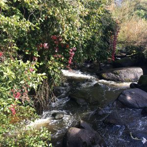 Sortie Pont-Aven 1
