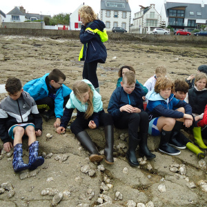 Ile-Tudy 5