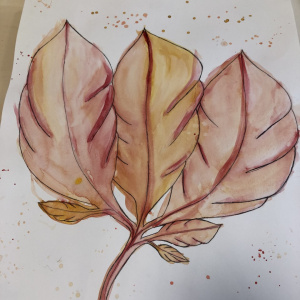 Aquarelle en arts plastiques