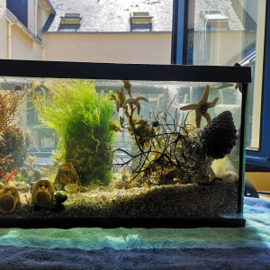 Classe de mer 6